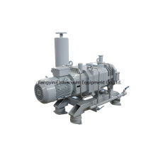 Latest Generation High-tech Screw Vacuum Pump